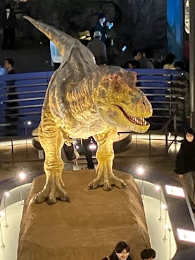 福井県立恐竜博物館に投稿された画像（2024/4/2）