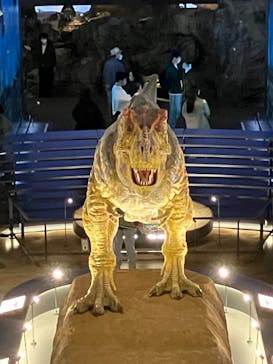 福井県立恐竜博物館に投稿された画像（2024/4/2）