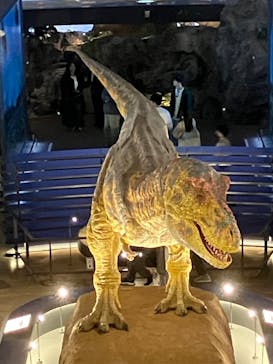 福井県立恐竜博物館に投稿された画像（2024/4/2）