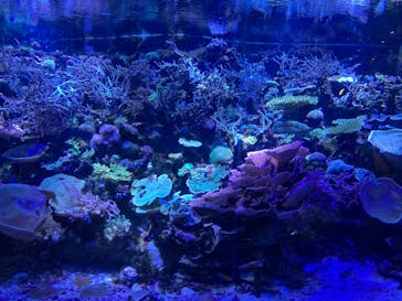 名古屋港水族館に投稿された画像（2024/4/2）