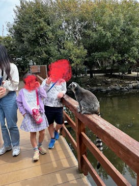 神戸どうぶつ王国に投稿された画像（2024/4/2）