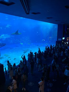 沖縄美ら海水族館に投稿された画像（2024/4/2）