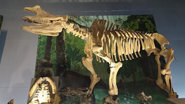 福井県立恐竜博物館に投稿された画像（2024/4/2）