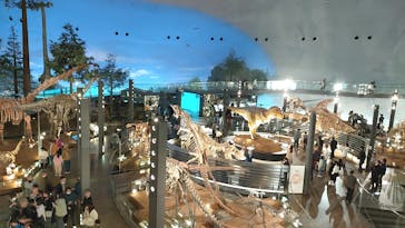 福井県立恐竜博物館に投稿された画像（2024/4/2）