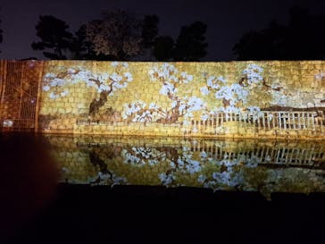 NAKED meets 二条城 2025 観月に投稿された画像（2024/4/2）