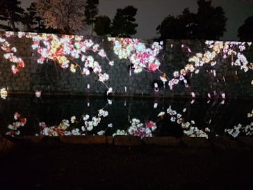 NAKED meets 二条城 2025 観月に投稿された画像（2024/4/2）