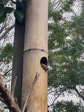 神戸どうぶつ王国に投稿された画像（2024/4/2）