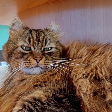 つくばわんわんランドに投稿された画像（2024/4/2）