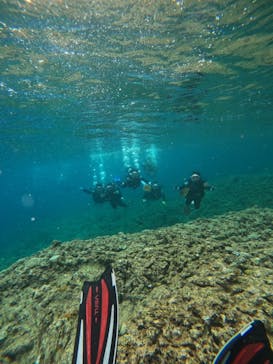 武藤潜水に投稿された画像（2024/4/3）