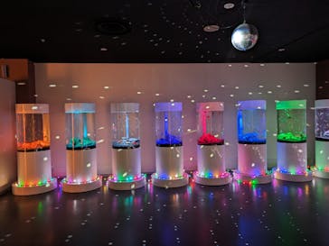 NARA KINGYO MUSEUMに投稿された画像（2024/4/3）