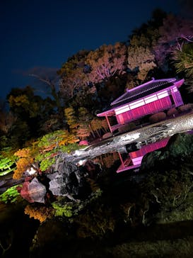 NAKED meets 二条城 2025 観月に投稿された画像（2024/4/3）