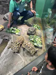 サンシャイン水族館に投稿された画像（2024/4/3）