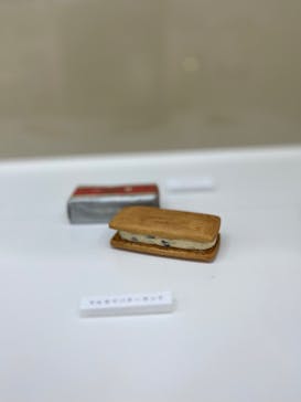 新潟県立自然科学館に投稿された画像（2024/4/3）