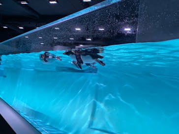 AOAO SAPPOROに投稿された画像（2024/4/3）