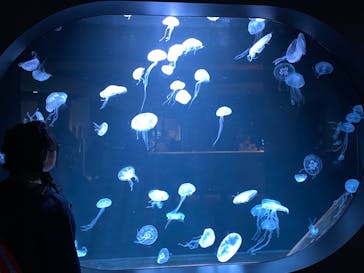 AOAO SAPPOROに投稿された画像（2024/4/3）