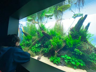 AOAO SAPPOROに投稿された画像（2024/4/3）