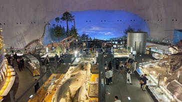 福井県立恐竜博物館に投稿された画像（2024/4/3）