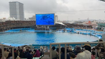 名古屋港水族館に投稿された画像（2024/4/3）