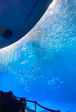 名古屋港水族館に投稿された画像（2024/4/3）