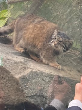 神戸どうぶつ王国に投稿された画像（2024/4/3）