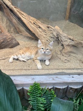 神戸どうぶつ王国に投稿された画像（2024/4/3）