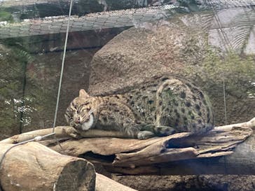 神戸どうぶつ王国に投稿された画像（2024/4/3）