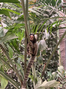 神戸どうぶつ王国に投稿された画像（2024/4/3）