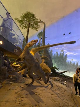 福井県立恐竜博物館に投稿された画像（2024/4/3）