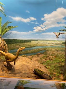 福井県立恐竜博物館に投稿された画像（2024/4/3）