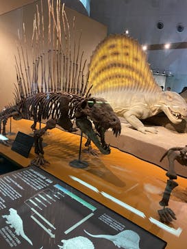 福井県立恐竜博物館に投稿された画像（2024/4/3）