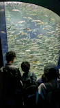 サンシャイン水族館に投稿された画像（2024/4/3）