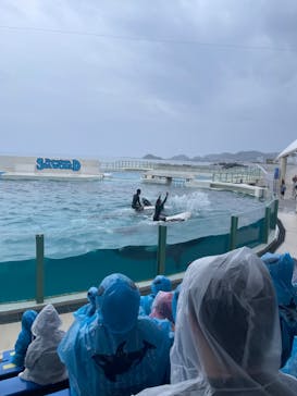 鴨川シーワールドに投稿された画像（2024/4/3）