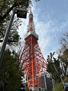 東京タワーに投稿された画像（2024/4/3）