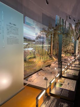 福井県立恐竜博物館に投稿された画像（2024/4/3）