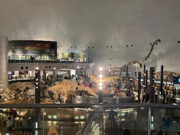 福井県立恐竜博物館に投稿された画像（2024/4/3）