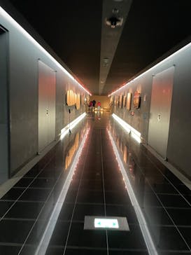 福井県立恐竜博物館に投稿された画像（2024/4/3）