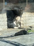 東武動物公園に投稿された画像（2024/4/3）
