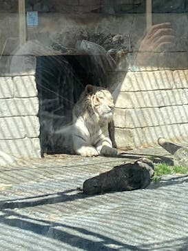 東武動物公園に投稿された画像（2024/4/3）