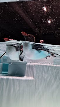 AOAO SAPPOROに投稿された画像（2024/4/3）