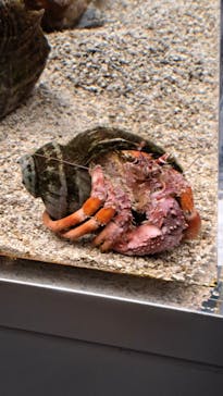 AOAO SAPPOROに投稿された画像（2024/4/3）