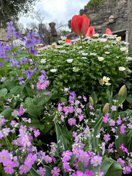 ひらかたパークに投稿された画像（2024/4/3）