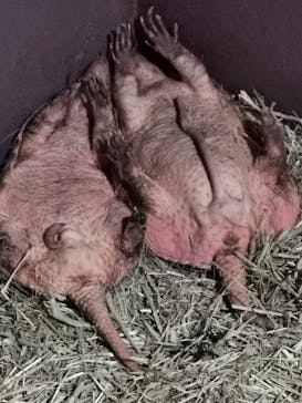 DMMかりゆし水族館に投稿された画像（2024/4/3）