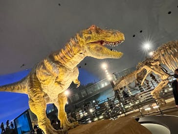 福井県立恐竜博物館に投稿された画像（2024/4/3）