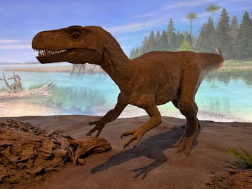 福井県立恐竜博物館に投稿された画像（2024/4/3）