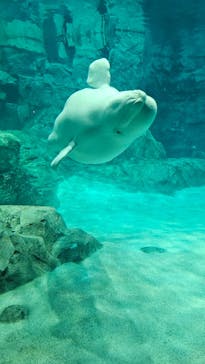 名古屋港水族館に投稿された画像（2024/4/3）