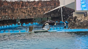 名古屋港水族館に投稿された画像（2024/4/3）