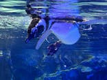 すみだ水族館に投稿された画像（2024/4/3）