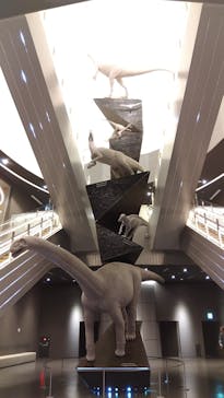 福井県立恐竜博物館に投稿された画像（2024/4/3）