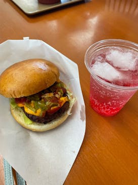 伊豆シャボテン動物公園に投稿された画像（2024/4/3）