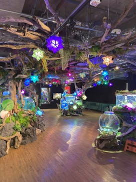 NARA IKIMONO MUSEUMに投稿された画像（2024/4/3）